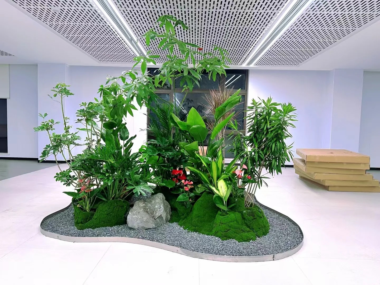 体验鄞州盆景租摆，畅享自然与艺术融合之美！